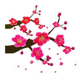 中国风水墨梅