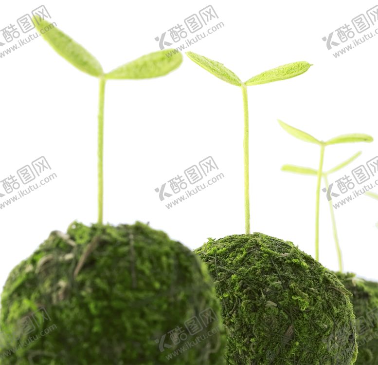 编号：97756410190934005350【酷图网】源文件下载-植物