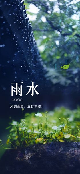 雨水