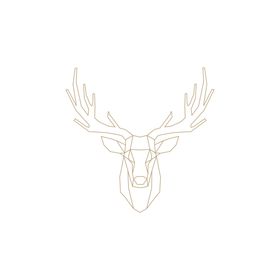 动物插画