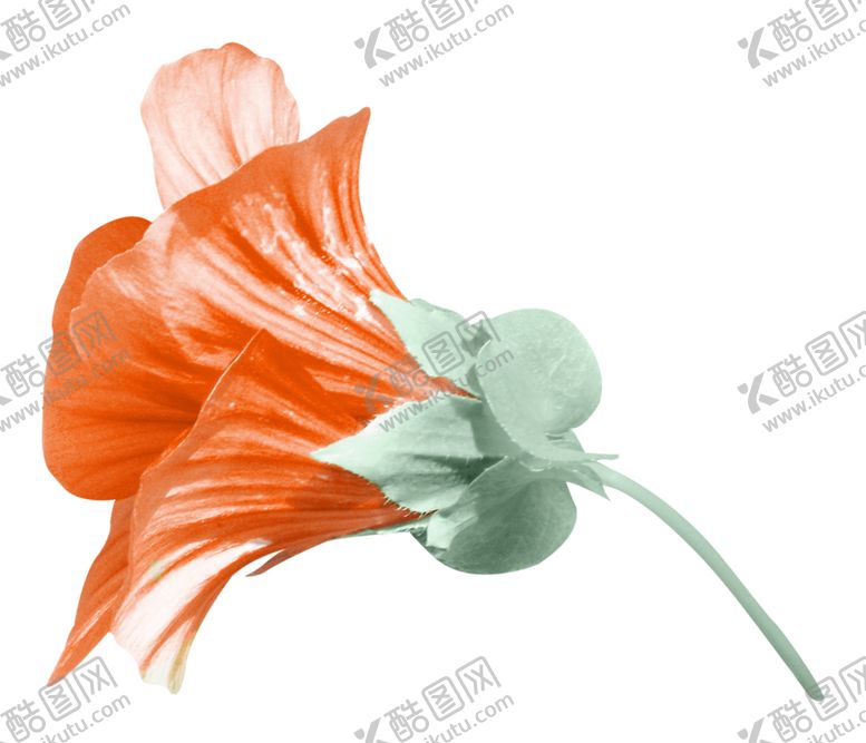 编号：80883102050327515582【酷图网】源文件下载-花朵 