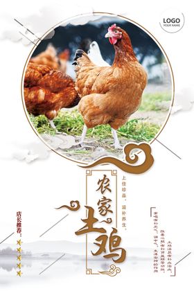 编号：31284509242146488457【酷图网】源文件下载-茶树菇炖土鸡