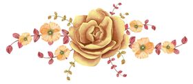 手绘花草牡丹花园元素素材
