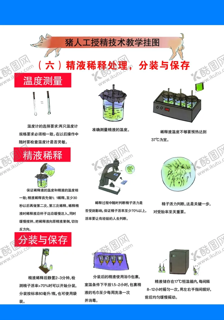 编号：18628103140032442378【酷图网】源文件下载-猪受精技术展板