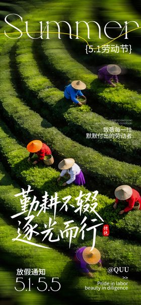 51花开放假通知海报