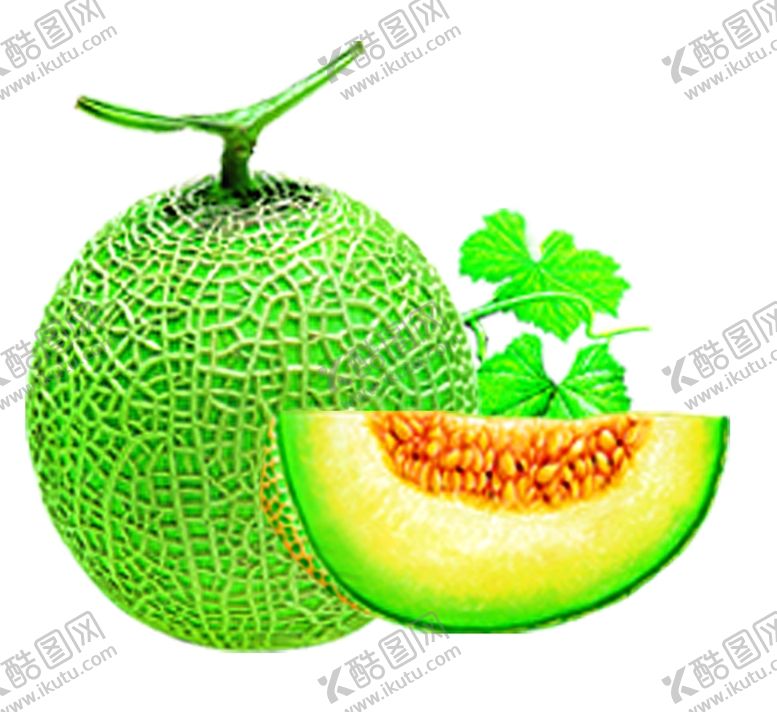 编号：62369509200531014071【酷图网】源文件下载-哈密瓜