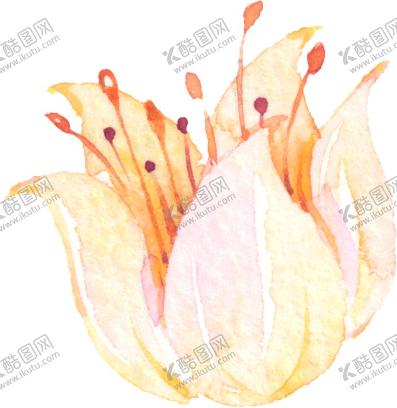 编号：32964505132032437768【酷图网】源文件下载-水彩手绘花卉花朵植物