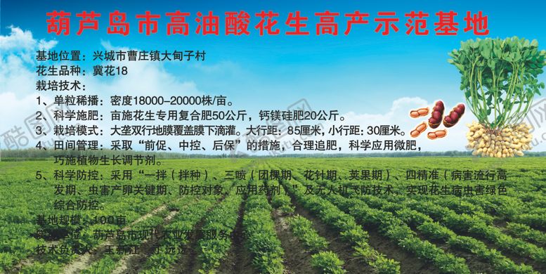 编号：33438504191756294894【酷图网】源文件下载-花生草地展板