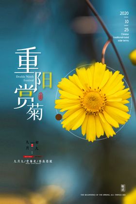 重阳佳节赏菊花展板