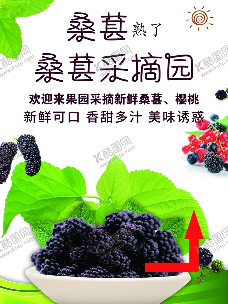 编号：79239204151218593251【酷图网】源文件下载-桑葚采摘园