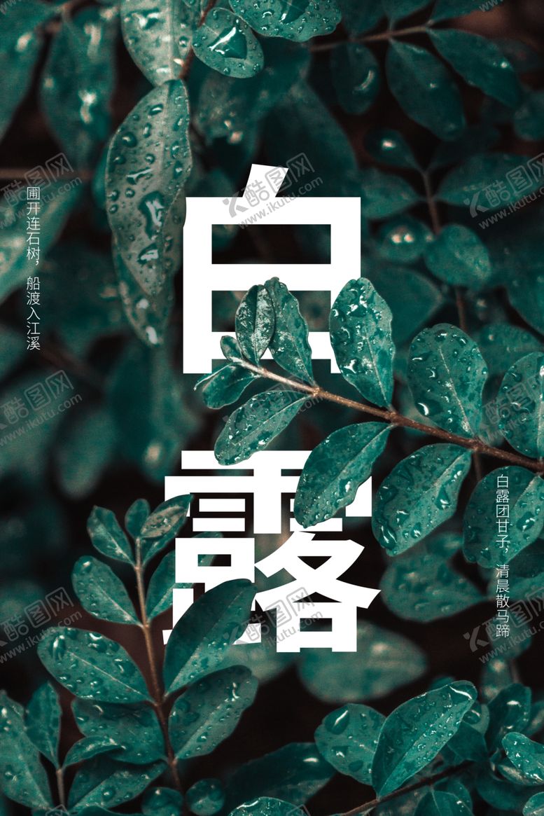编号：23812007140638236825【酷图网】源文件下载-白露传统节日促销活动宣传海报
