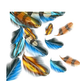 孔雀