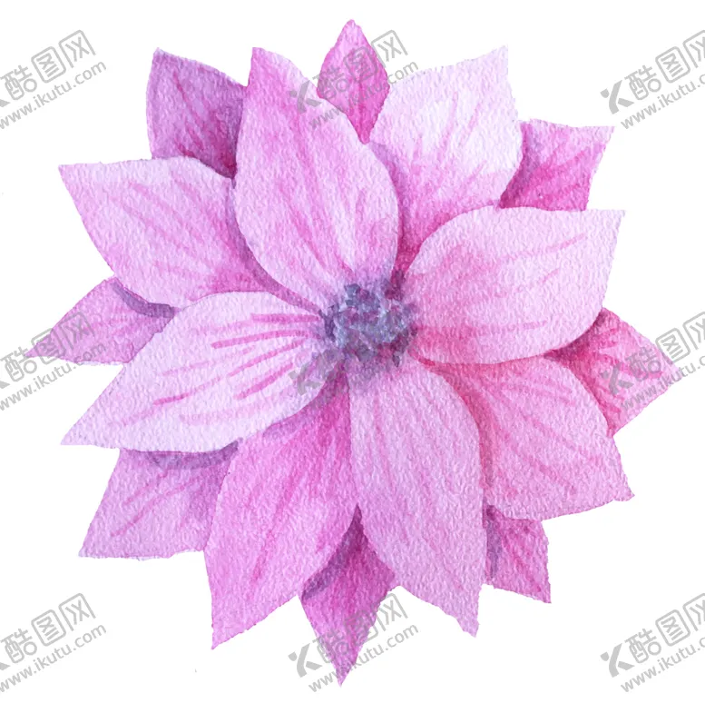 编号：62533701250459582085【酷图网】源文件下载-花卉背景