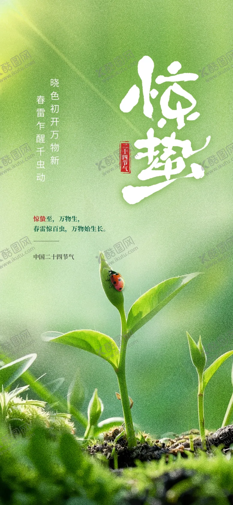 编号：87229805041550528517【酷图网】源文件下载-惊蛰海报