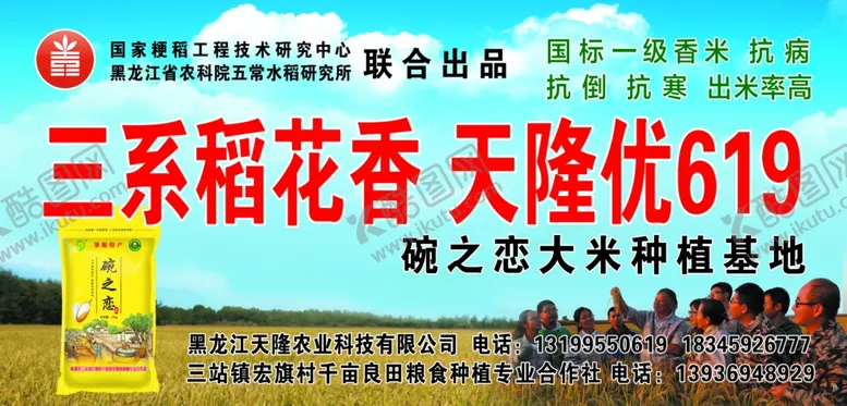 编号：26200810291517356398【酷图网】源文件下载-稻花香