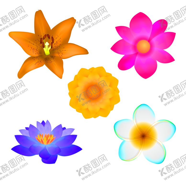 编号：43052507090537127377【酷图网】源文件下载-鲜花装饰