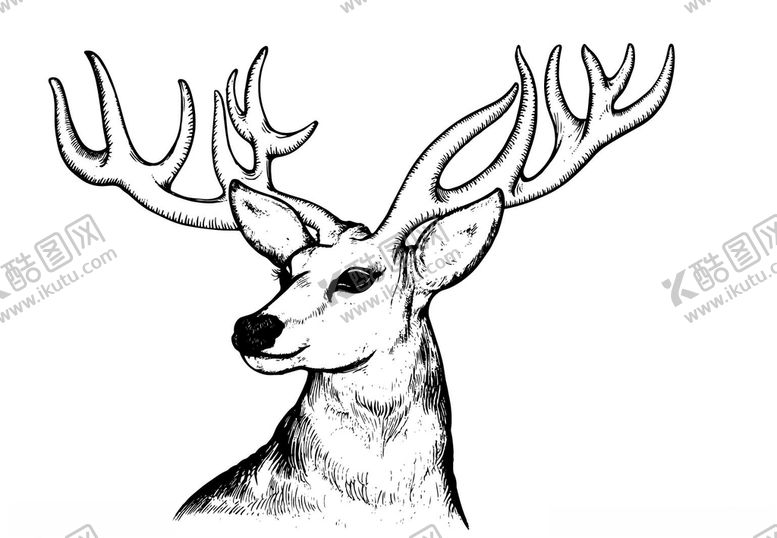编号：46881409212136196527【酷图网】源文件下载-矢量鹿