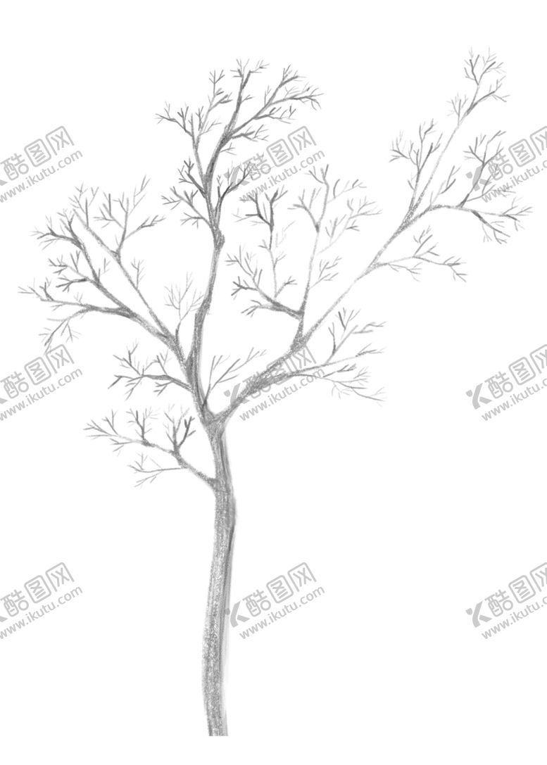 编号：26490309121707224663【酷图网】源文件下载-手绘树枝