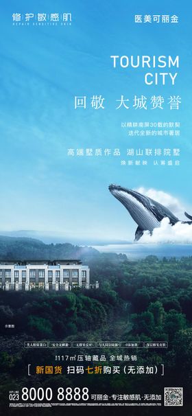 别墅刷屏地产鲸鱼 