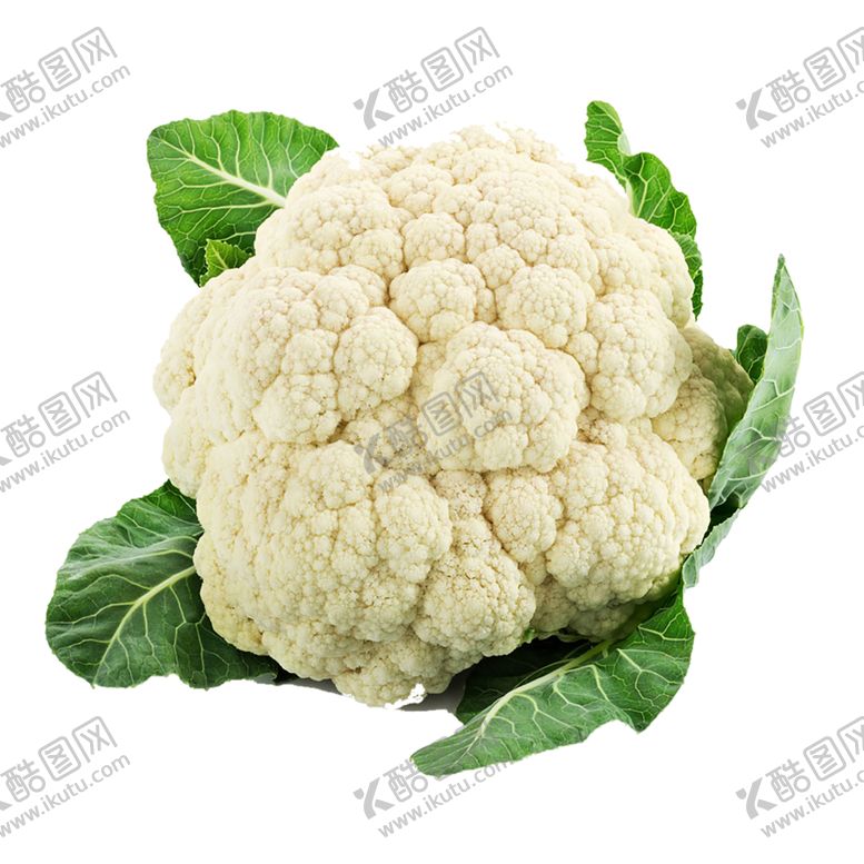 编号：71634510280345075747【酷图网】源文件下载-水果