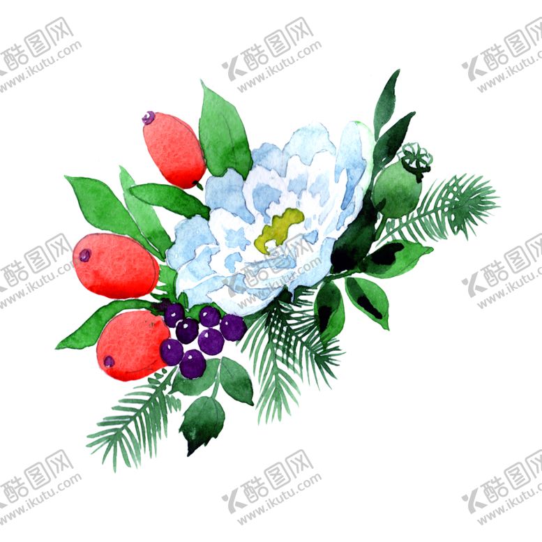 编号：55263901270846299619【酷图网】源文件下载-手绘花卉