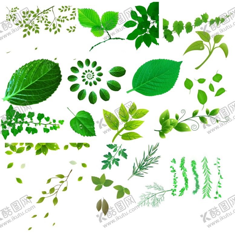 编号：85624110140645427121【酷图网】源文件下载-树叶树藤