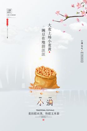 小满海报
