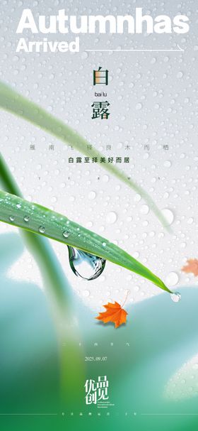 白露海报