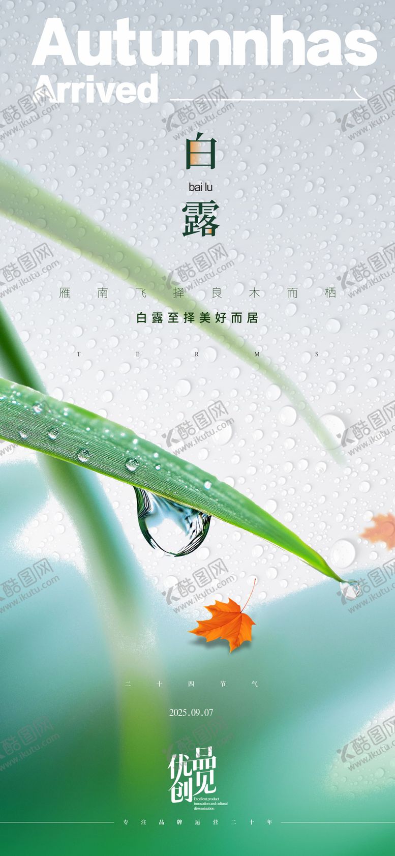 编号：29056509041014336833【酷图网】源文件下载-白露白露