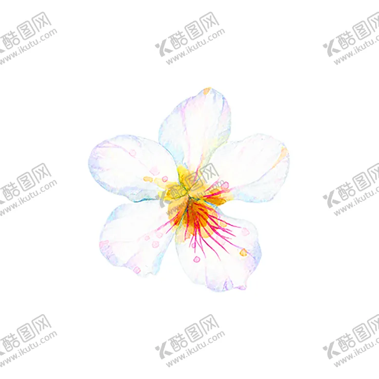 编号：46816606260234471357【酷图网】源文件下载-鲜花装饰
