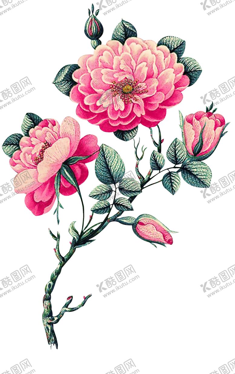 编号：58898009270715345354【酷图网】源文件下载-花朵