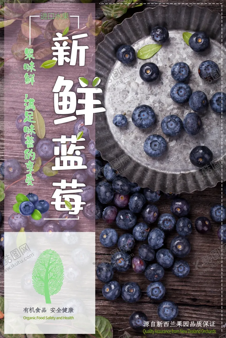 编号：42792007010021141588【酷图网】源文件下载-新鲜蓝莓