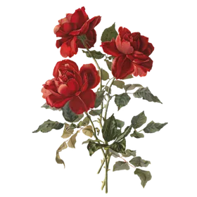 花