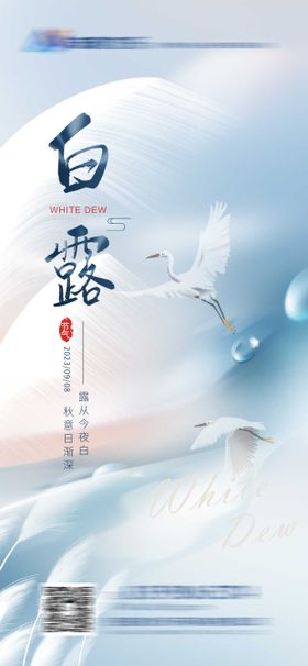 白露节气海报简约水滴二十四