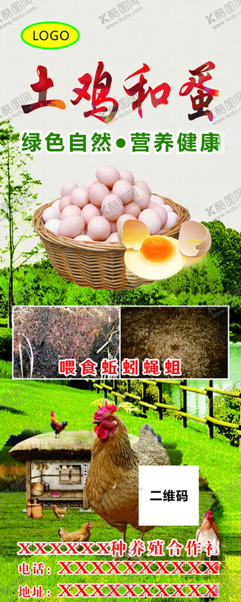 编号：17972512230545011888【酷图网】源文件下载-土鸡蛋