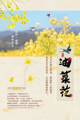 油菜花
