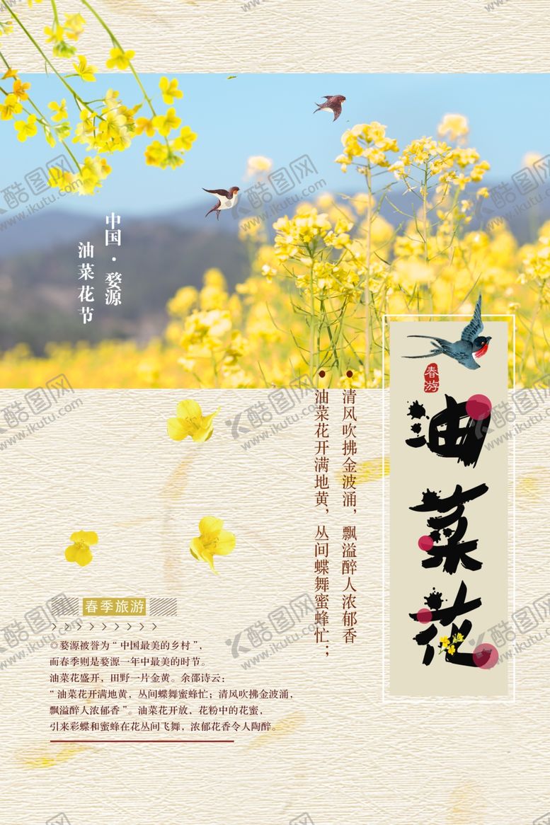 编号：71151609281253536617【酷图网】源文件下载-油菜花