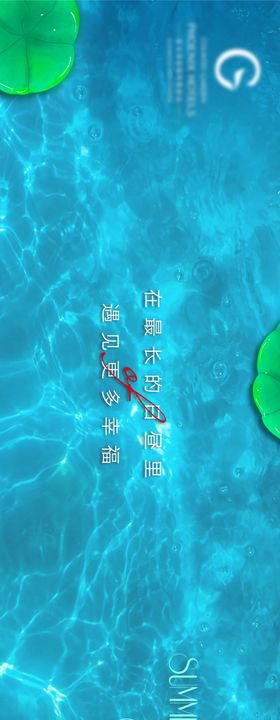 夏至节气海报荷花水荷叶背景板