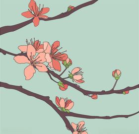 樱花