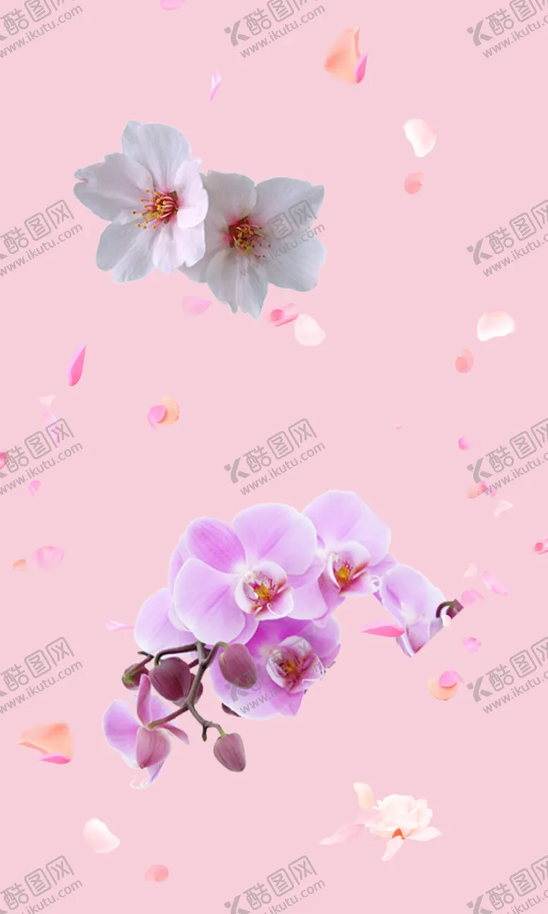 编号：17208309220607249206【酷图网】源文件下载-蝴蝶花朵 