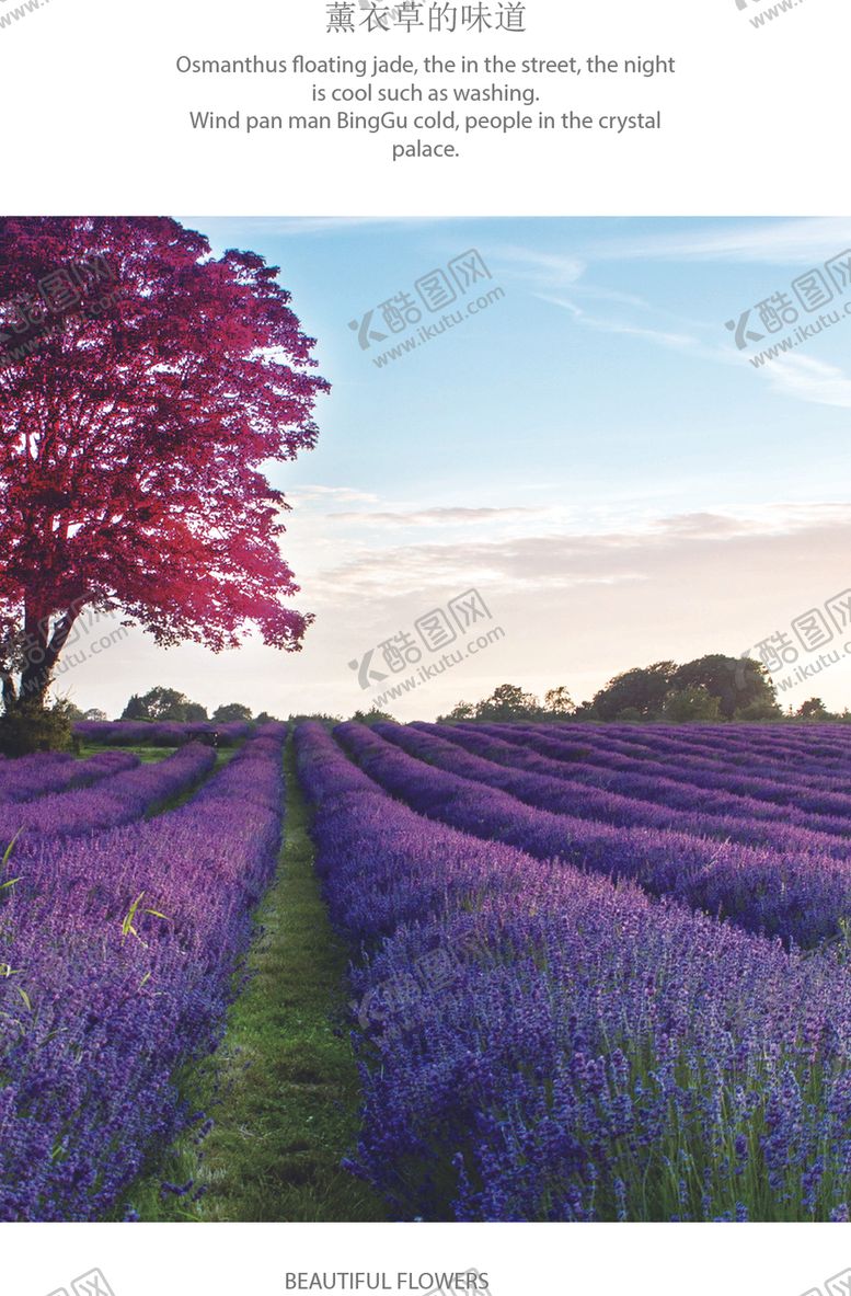 编号：73282609292318355104【酷图网】源文件下载-装饰画