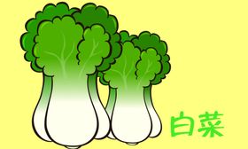 白菜