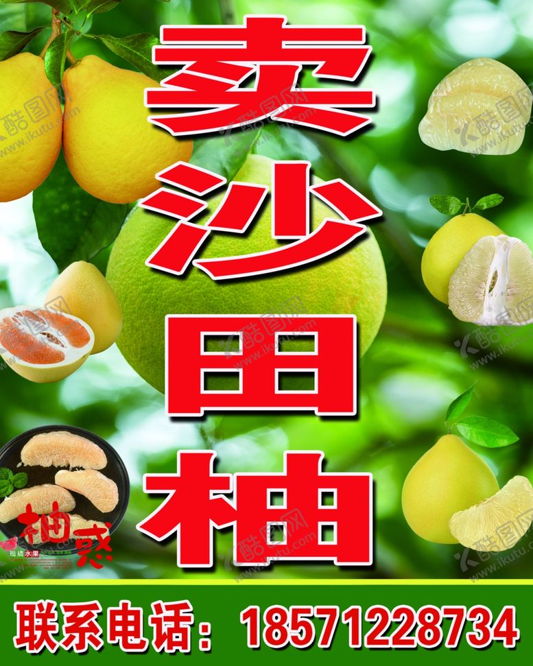 编号：21480801271441198046【酷图网】源文件下载-沙田柚