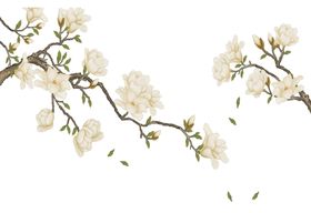 花鸟