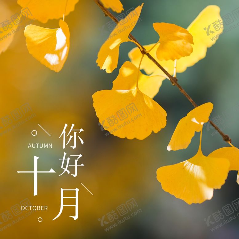 编号：33468204290133412926【酷图网】源文件下载-十月你好