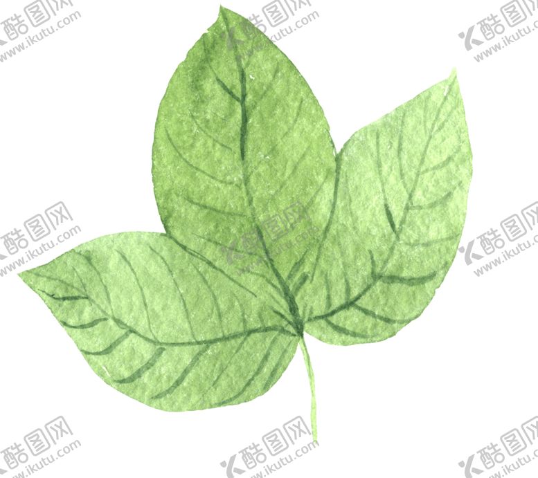 编号：83879510111010574398【酷图网】源文件下载-绿色家庭植物