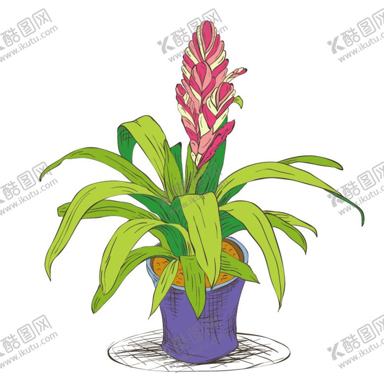 编号：97085209182337372453【酷图网】源文件下载-png格式植物花卉手绘素材