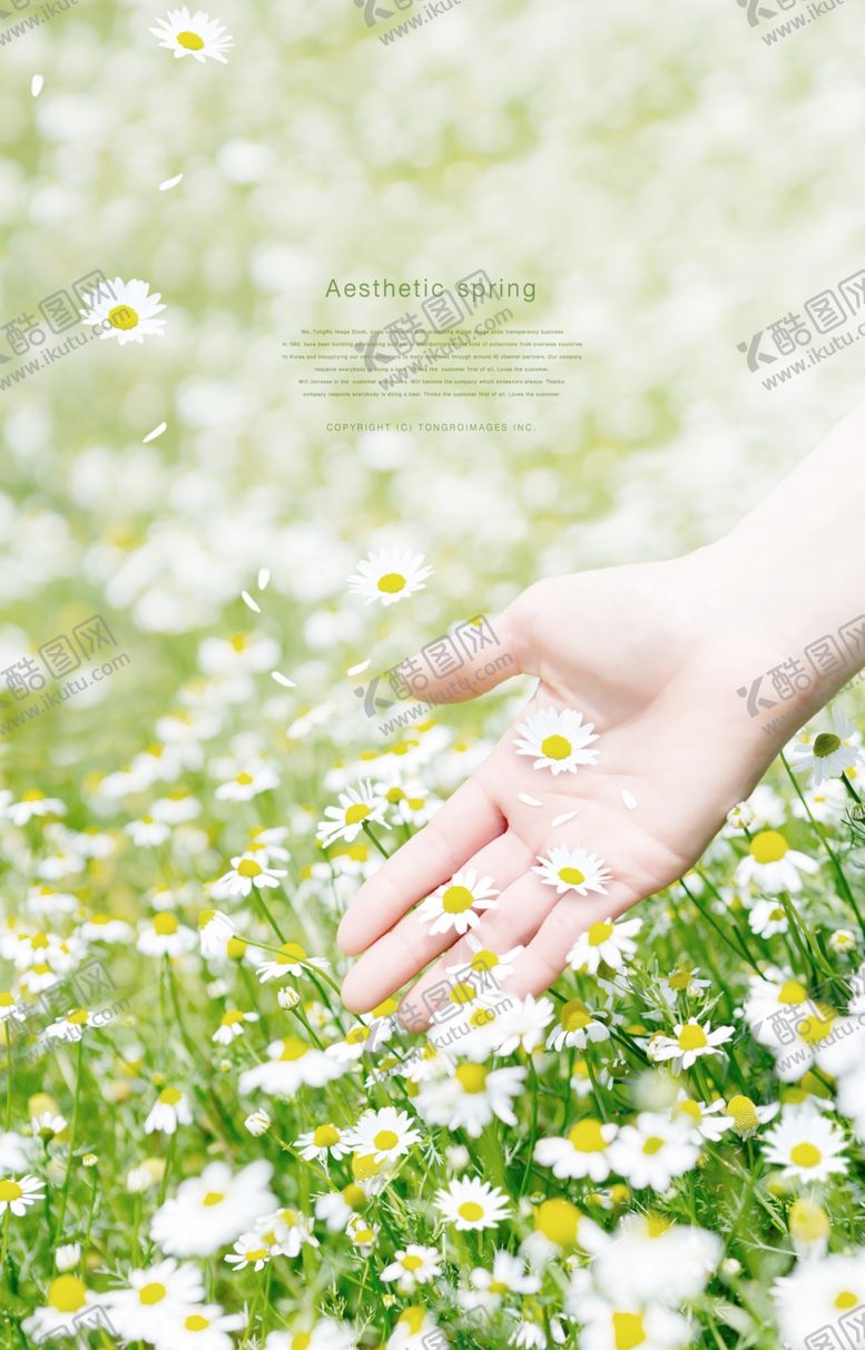 编号：48601910302045514739【酷图网】源文件下载-鲜花海报图片