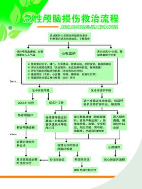 急性颅脑损伤救治流程