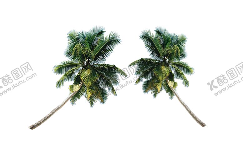 编号：29778110031640515519【酷图网】源文件下载-绿色相框